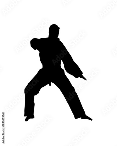 Dynamic Silhouette of a Male Martial Arts Practitioner in a Ready Stance, demonstrating strength and focus on an isolated white background.