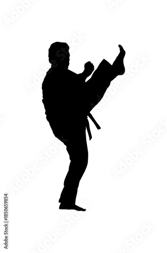 Dynamic Male Martial Artist Executing a Powerful High Front Kick in an Action Pose on an Isolated White Background