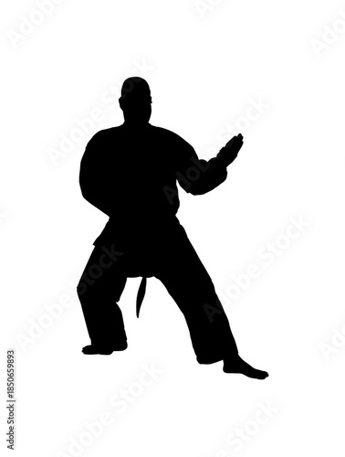 Male Martial Artist Executing a Protective Karate Block in a Defensive Stance on an Isolated White Background