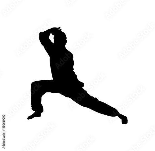 Male Martial Artist in a Ready Defensive Stance Preparing for Combat on an Isolated White Background