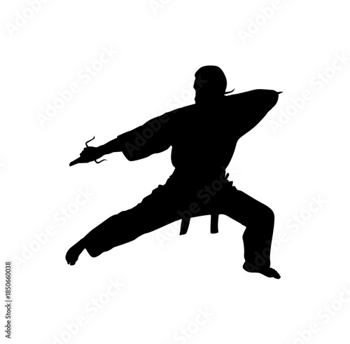 Energetic Male Martial Artist Performing a High Kick in a Dynamic Action Pose on an Isolated White Background