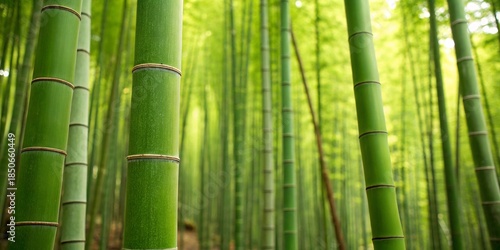Intertwined bamboo culms form a seamless organic pattern with rhythmic green texture, ideal for tropical wallpaper, Asian design, eco backgrounds, botanical decor, and natural abstract illustrations.