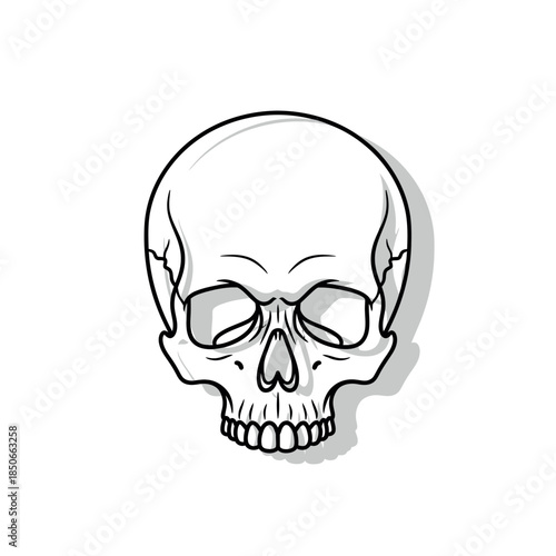 Illustration of a human skull with cracks drawn in black lines on white background ax-2