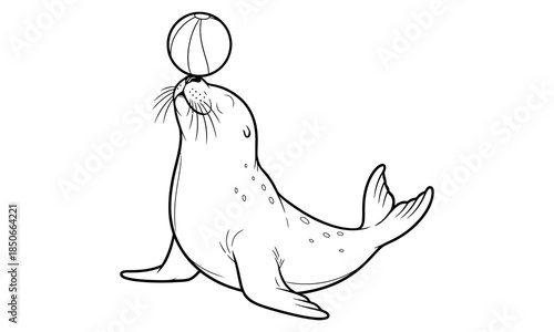 Circus seal balancing a ball on its nose coloring page for children