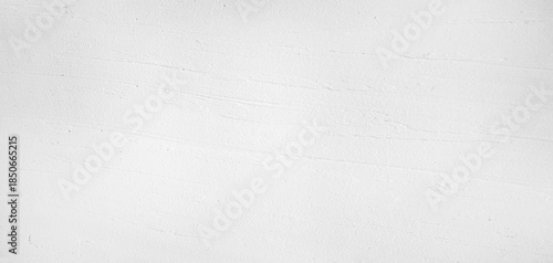 白くザラッとした和風の壁