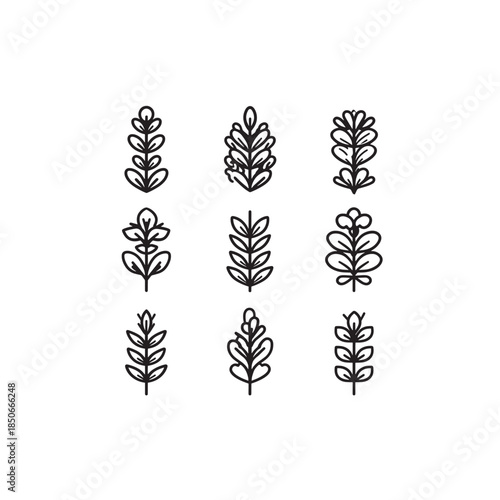 Hebe icon line art sleek contemporary aesthetic perfect decoration