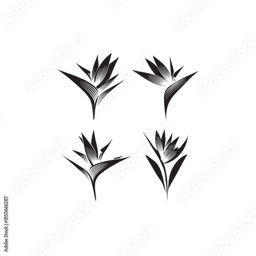 Heliconia icon line art jungle flower minimalist drawing