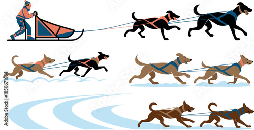 Flat Vector Illustration of Dog Sledding Mushers and Sled Dogs Running in the Snow