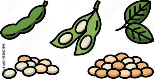 Flat Vector Illustration of Soybeans in Pods with Green Leaves and Dried Soy Seeds