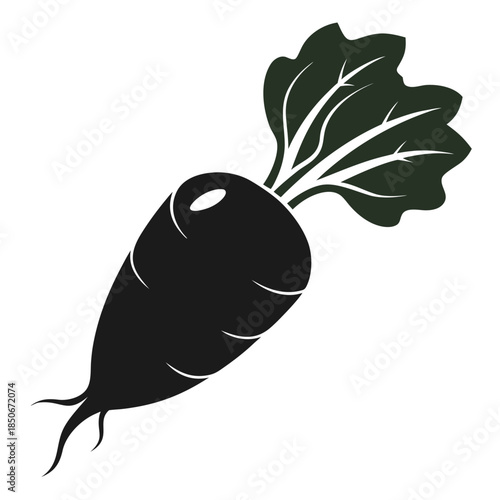 daikon radish on white background 