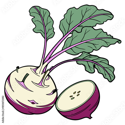 kohlrabi with leaves