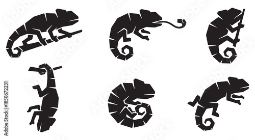 Set of six stylized black chameleon silhouettes in various poses on a white background.