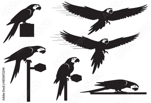 Collection of silhouette illustrations of macaws in various poses, including flying and perched on branches.