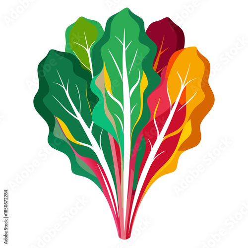 swiss chard on white  background 