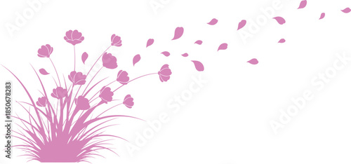 Vibrant pink flowers blowing in the wind on a serene white background with petals dispersing freely