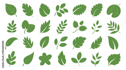 A collection of various green leaves arranged in a grid pattern on a white background
