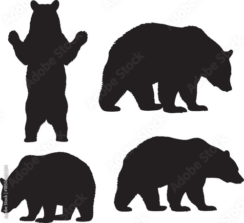 Wild Bear Silhouettes Vector Art for Nature and Outdoor Brands