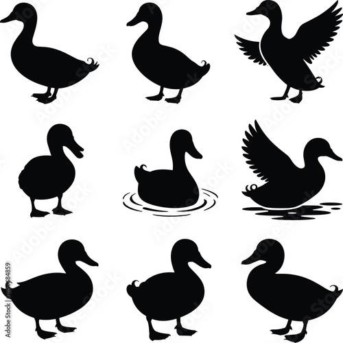 Black Silhouettes of Ducks in Various Poses waterfowl
