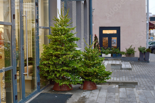 Fototapeta Naklejka Na Ścianę i Meble -  Potted evergreen trees stand outside stylish clothing store with bright interior lighting. Modern boutique storefront decorated for the holidays with two small Christmas trees flanking the entrance.
