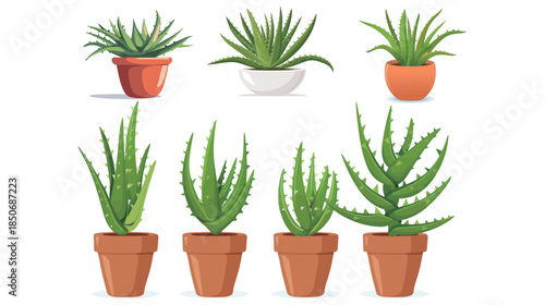 Aloe vera plant in pot flat vector illustration isolated on white background