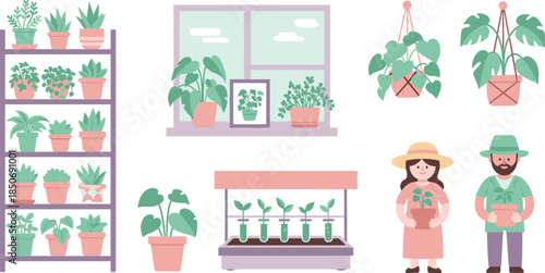 Indoor plant care and display