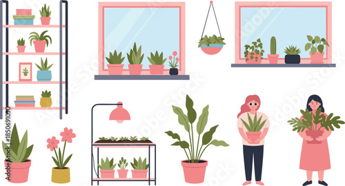 Indoor plant care and decoration