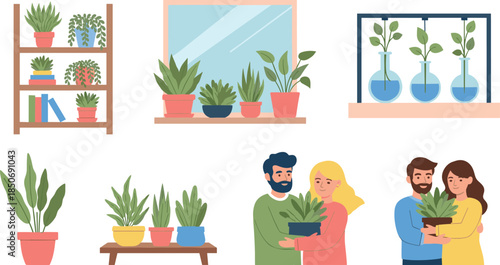 Indoor plant care and display