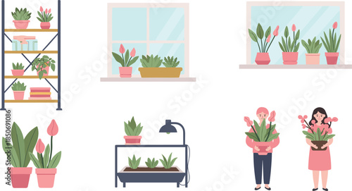 Indoor plant decor ideas