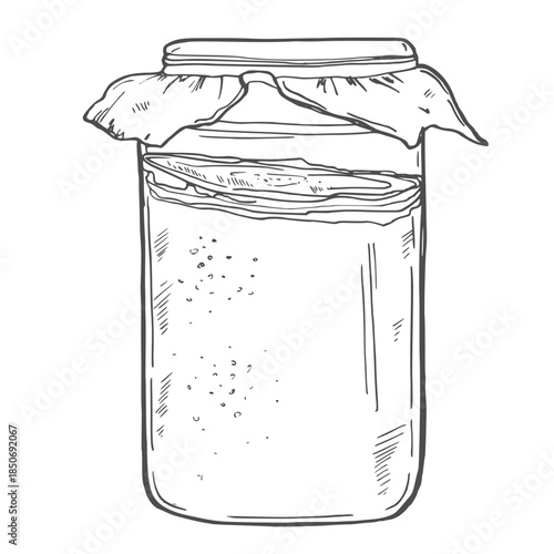 Kombucha. Healthy beverage. Ingredients for homemade fermented tea. Hand drawn vector illustration.