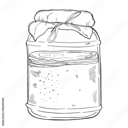 Collection of kombucha: mushroom, jar with kombucha tea. Super food. Vector hand drawn illustration