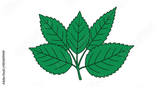 A vibrant illustration of a cluster of bright green leaves on a stem