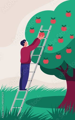 A man carefully picks apples from a tree while using a ladder, showcasing a connection with nature and the rewarding experience of harvesting fresh fruit.
