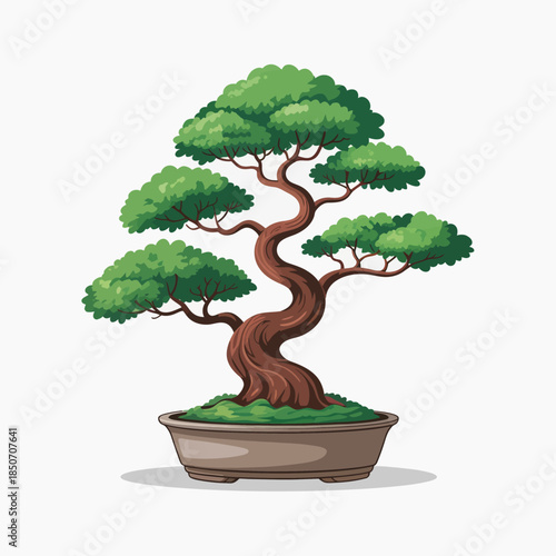 A meticulously crafted bonsai tree displayed in a stylish pot, representing nature’s elegance and tranquility, perfect as a decorative piece or a symbol of patience and care.