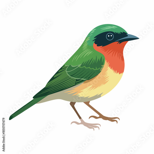 A beautifully illustrated green bird featuring a striking orange chest, detailed coloring, and expressive eyes, showcasing the beauty of nature and wildlife.