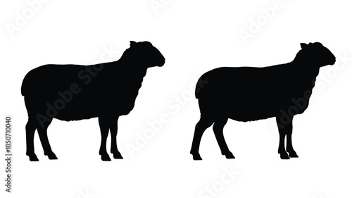 Silhouettes of two sheep standing side by side in a black and white image