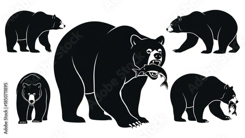 Black Bear Silhouette Vector Set Showing Standing Walking Eating Fish Roaring Sequence