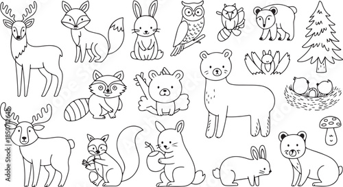 Hand drawn black and white outline of various forest animals 