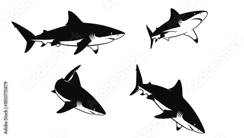 Black Shark Silhouette Vector Set Showing Side Angled Turning Diving Swim Poses