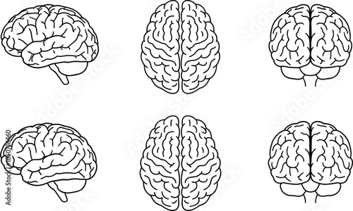 Human brain anatomy set cad drawing flat vector illustration with medical neurological sketch views isolated black outline design