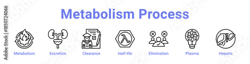 Metabolism Process Icon Banner Line Art