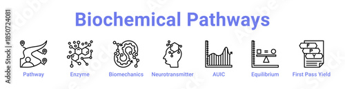 Biochemical Pathways Icon Banner Line Art
