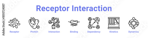 Receptor Interaction Icon Banner Line Art