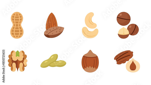 Various Nuts 2D Flat Vector Icon Set