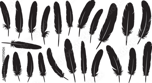 Assortment of black feather silhouettes in various sizes and orientations scattered across a white background representing nature and artistic also transparent background