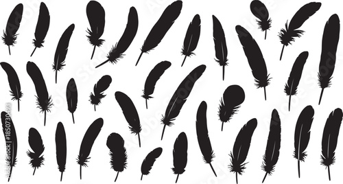 A scattered collection of numerous black silhouette bird feathers of various sizes and shapes, displaying delicate barbs and quill details against a white background also transparent background