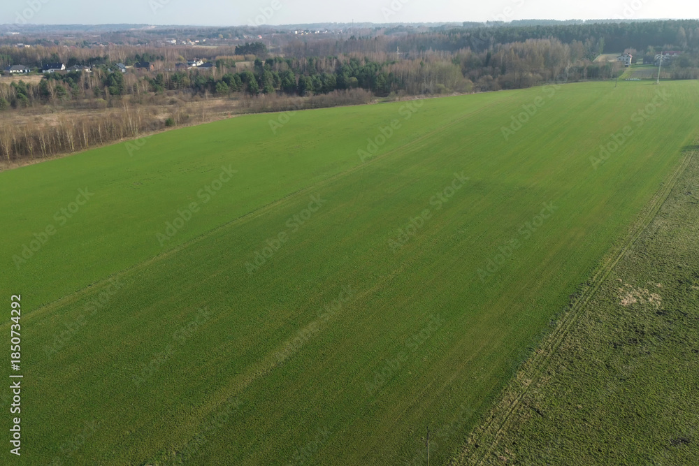 Obraz premium Aerial panorama of farmland with forest border