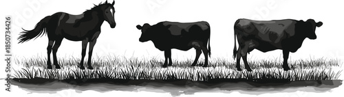 Horse, cow, farm animals, standing on grass, black and white sketch, realistic livestock illustration, rural scene, agriculture, shading, texture