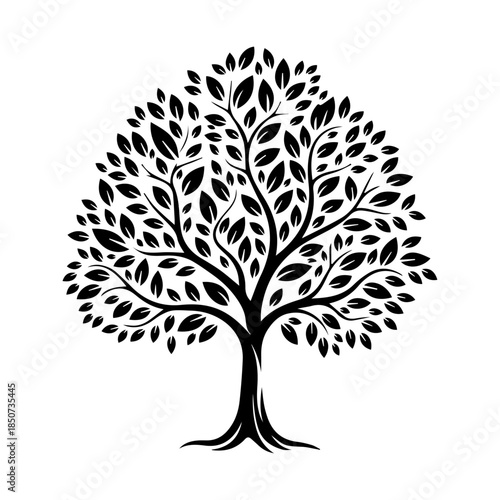 Elegant black and white tree silhouette