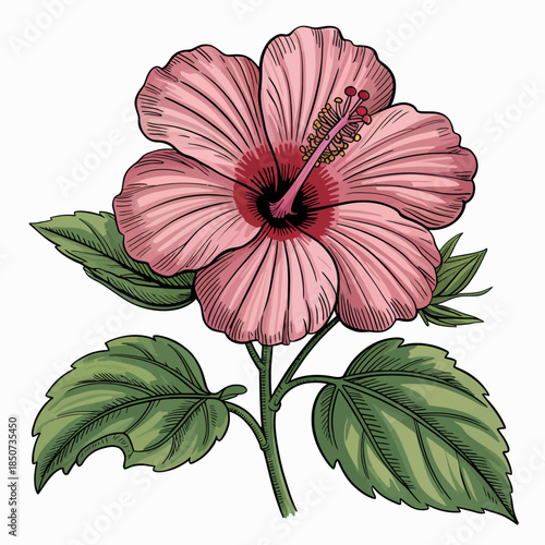 This beautiful image features a striking pink hibiscus flower, delicately harmonized with green leaves, encapsulating the essence of nature’s beauty and vitality.
