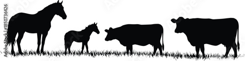 Horse, foal, cow, calf, animal silhouettes, standing on grass, farm animals, black shapes, rural scene, livestock comparison, nature, fieldHorse, foal, cow, calf, animal silhouettes,